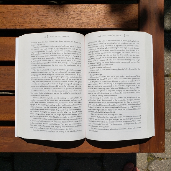 Book | Lord Valentine's Castle - Picture 4 of 4